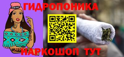 a pvp Гатчина