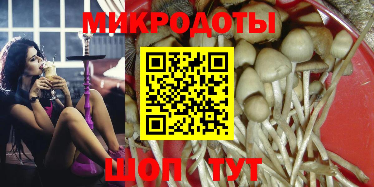 Псилоцибиновые грибы прущие грибы Полысаево